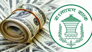 রেমিট্যান্স ১.৯৩ বিলিয়ন ডলার