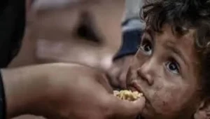 গাজায় এক চামচ ভাতই এখন হাসির কারণ