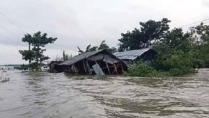 ভয়াবহ বন্যা